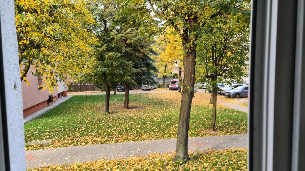 Apartment Spokojny Wypoczynek 4 Ostrow Wielkopolski